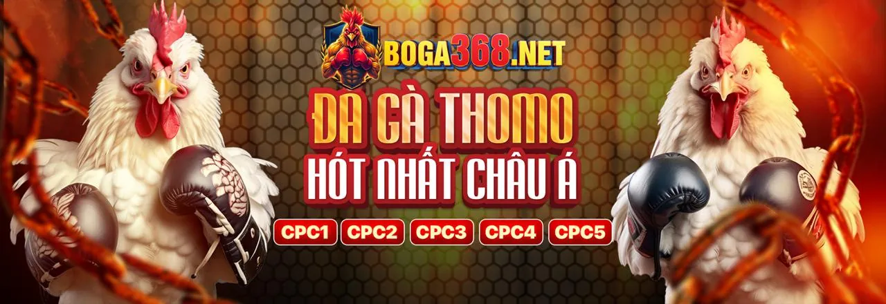 Quy tắc đặt cược công bằng tại gg8801